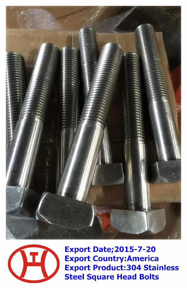304  Stainless Hlau Square Lub Taub Hau Bolts Txiv Ntseej