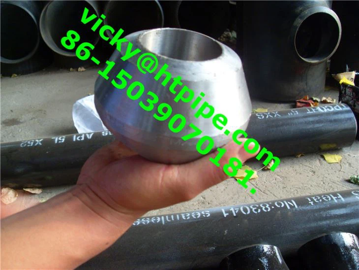 Alloy C 22  Hastelloy C 22  Luj tshib Tee Hla Cap Weldolet Cov Hlav