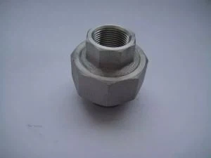 Alloy  800 H Incoloy  800 H Forged Socket Threaded Plug Nipple Boss Union Ntxig