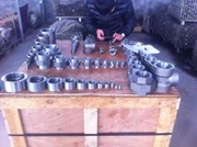 Stainless 317 317L Forged Soread Threaded Luj Tshib Tee Cap Hla Coupling